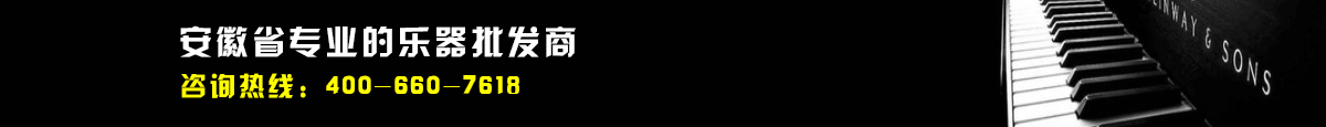 汽車(chē)租賃就來(lái)鄭州旅游大巴汽車(chē)出租服務(wù)有限公司